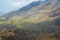 12 Pascoli dell'Alben con le casere
